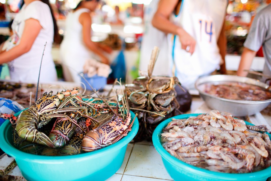 batch____shutterstock_90562531.jpg