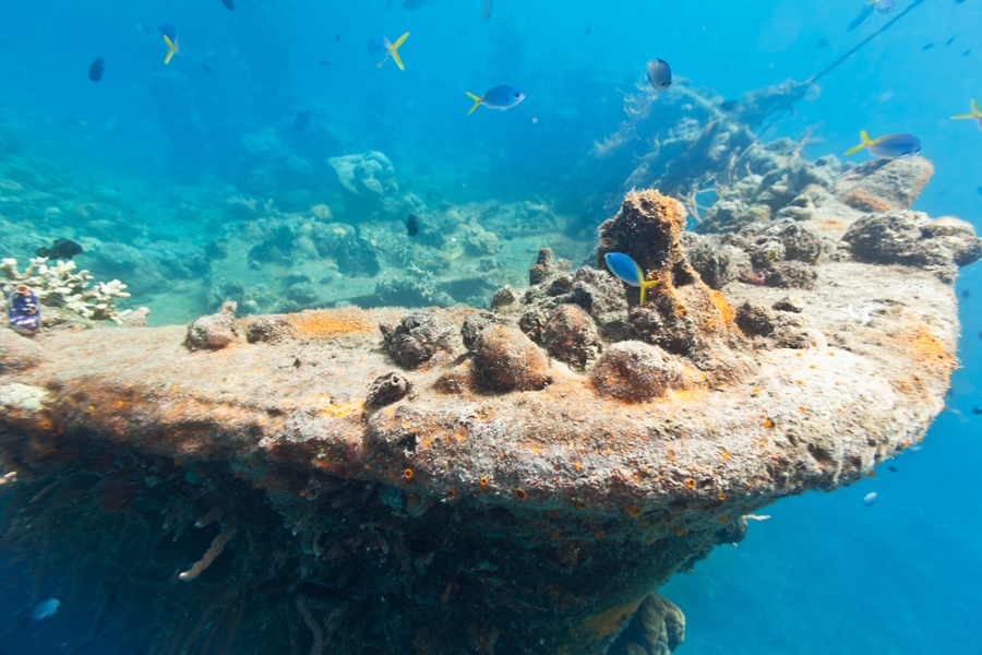 Philippines_Coron_Lusong-Gunboat-Wreck-盧松砲艦沈船-_Ashutterstock_78311101.jpg