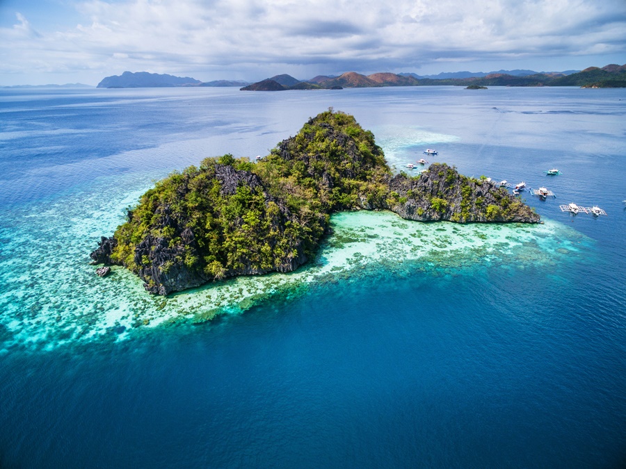 Philippines_Coron_Malwawey-Coral-Garden-珊瑚花園_Ashutterstock_1038141475-1.jpg
