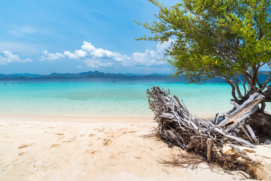 Philippines_Coron_Banana-Island-香蕉島_Ashutterstock_1085975966.jpg