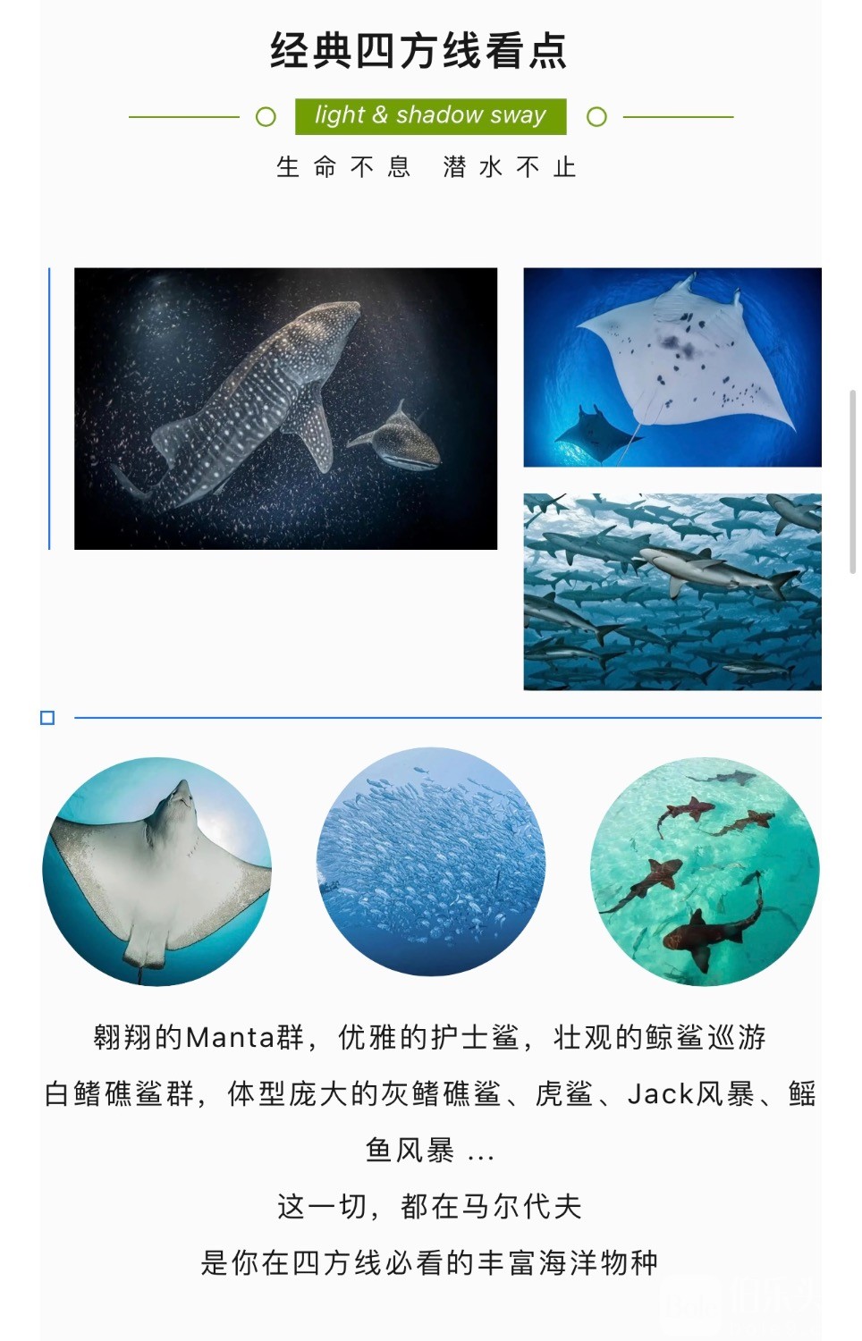 3329C318-7B76-4740-9B03-D401ACE9272B.jpeg