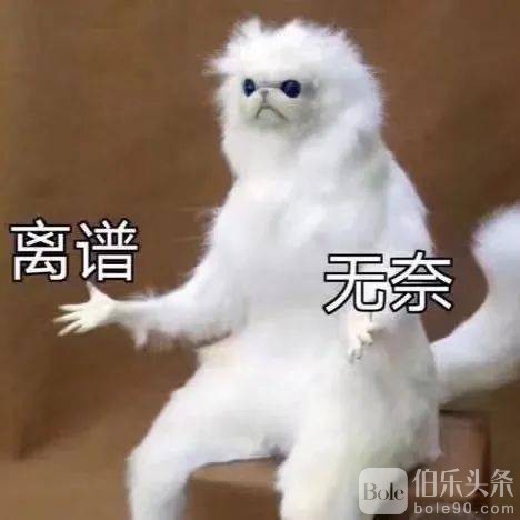 295d6f97247848db9263afda2da85762.jpeg