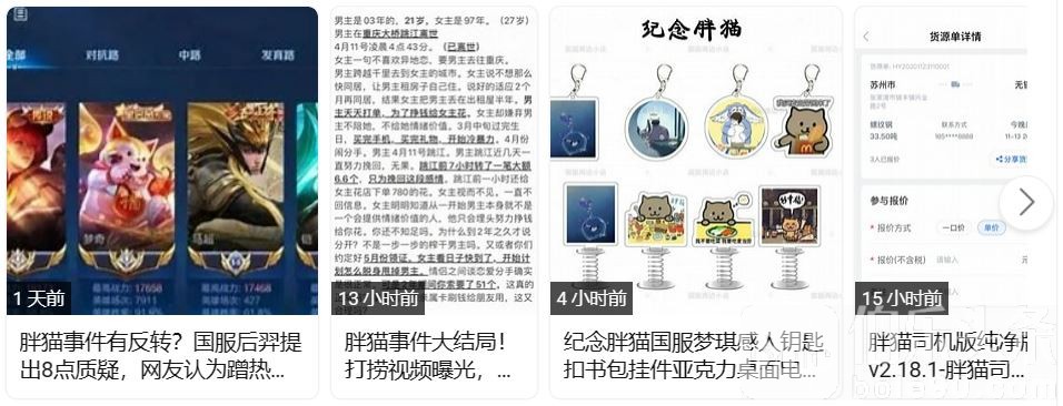 胖猫.JPG