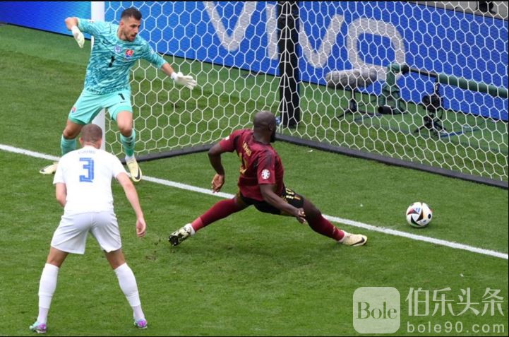 比利时0-1斯洛伐克-2.JPG