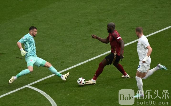 比利时0-1斯洛伐克-3.JPG