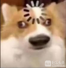 images.jpeg