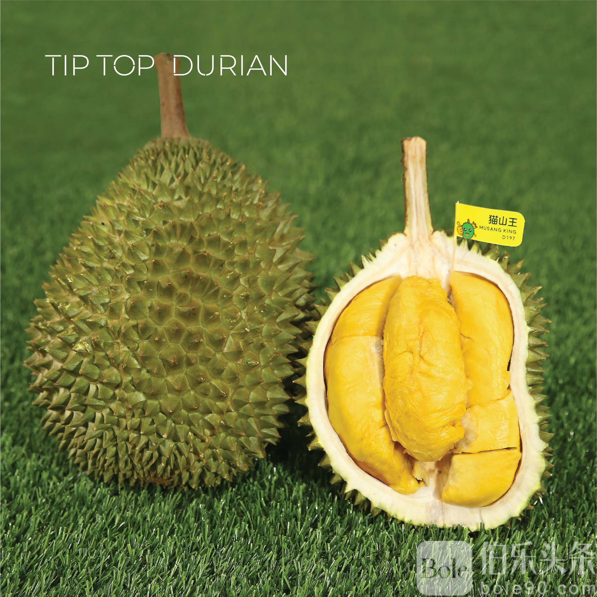durian-web-06-1.jpg