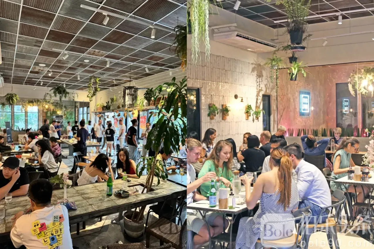 w250514_bangkok-vegan-restaurant-guide_01.webp