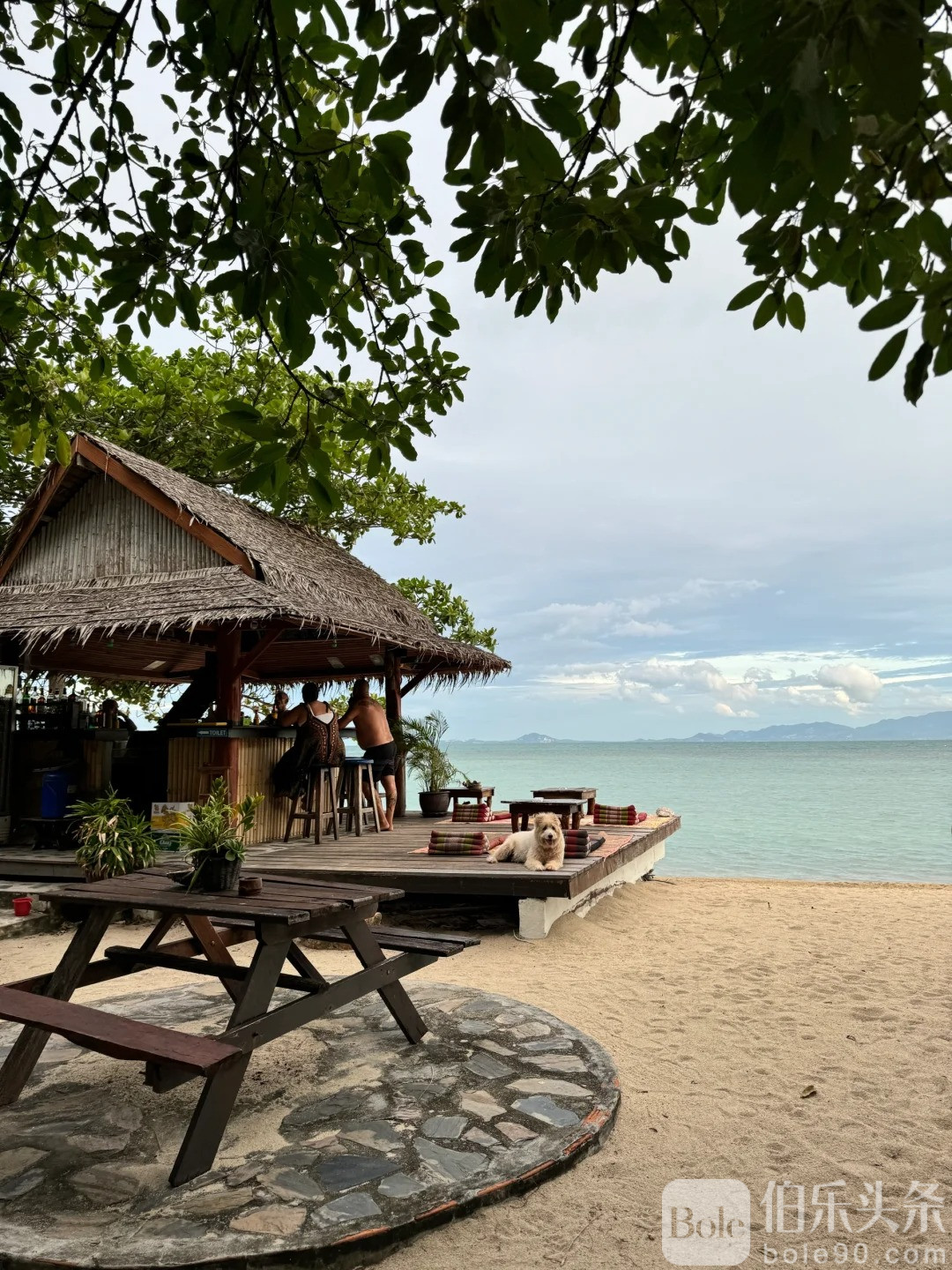 泰国的小巴厘岛🏝️被我们发现了！！_7_自然卷阿咩_来自小红书网页版.jpg