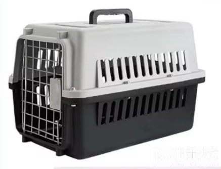 photo_2025-10-13 14.23.42.jpeg