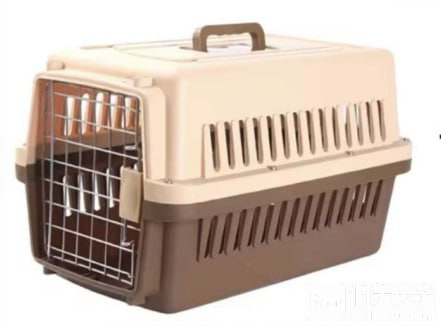 photo_2025-10-13 14.23.44.jpeg