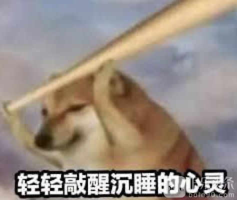 图像2025-10-14 12.25.jpeg