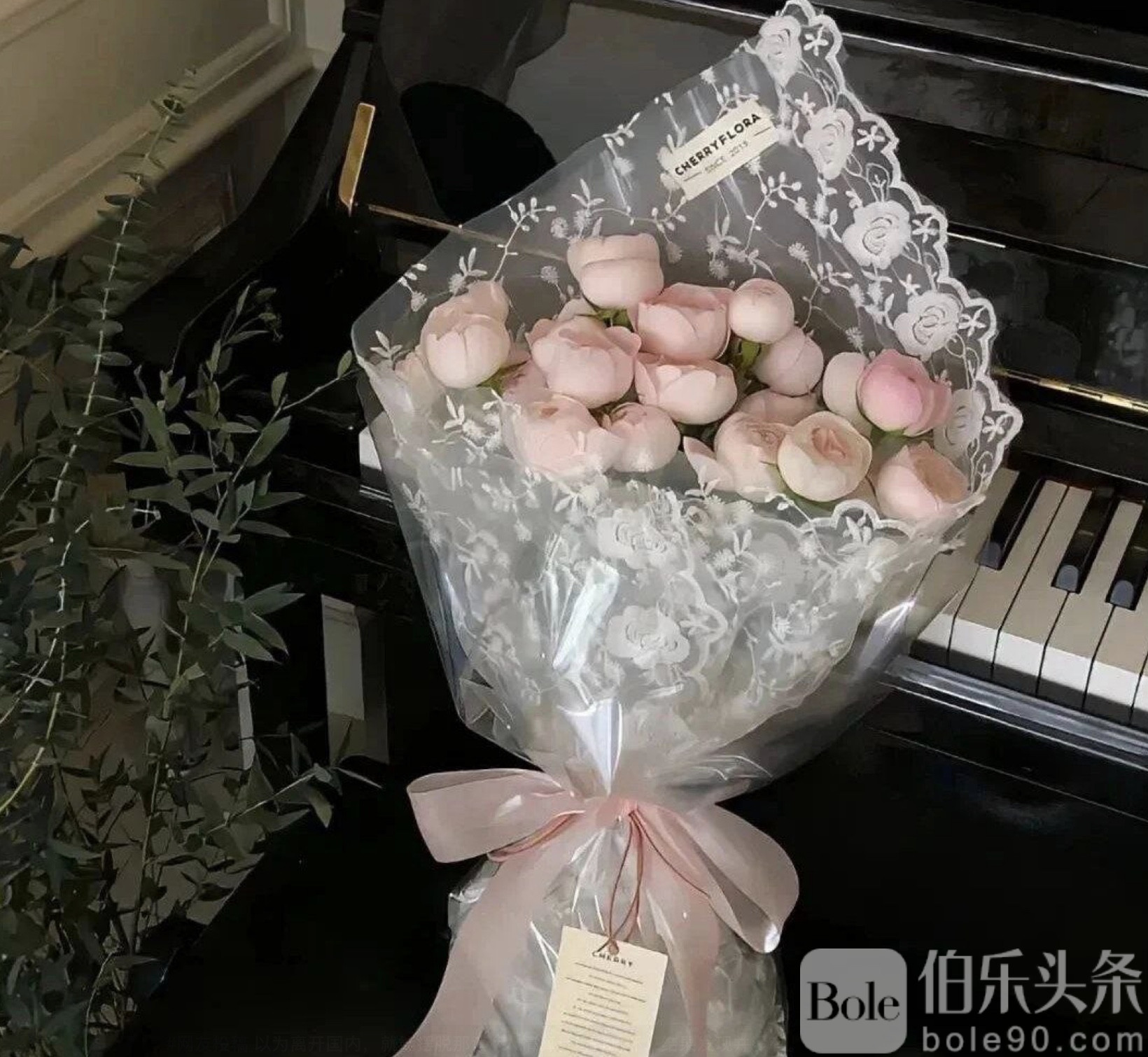 图像2025-10-14 12.30.jpeg