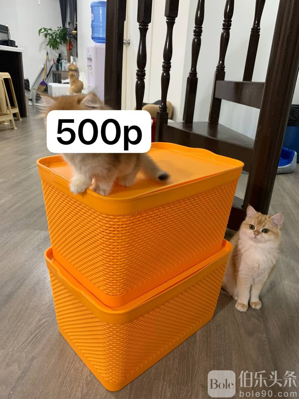 photo_2025-10-14 14.26.39.jpeg