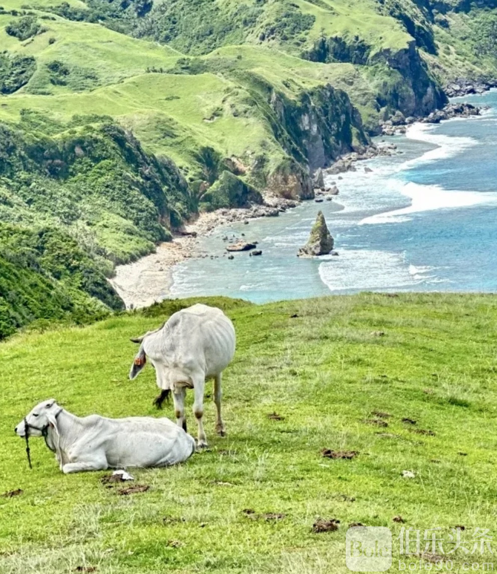 图像2025-10-20 12.45 (1).jpeg