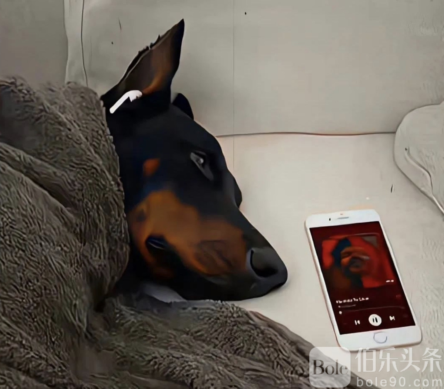 图像2025-10-21 13.26.jpeg