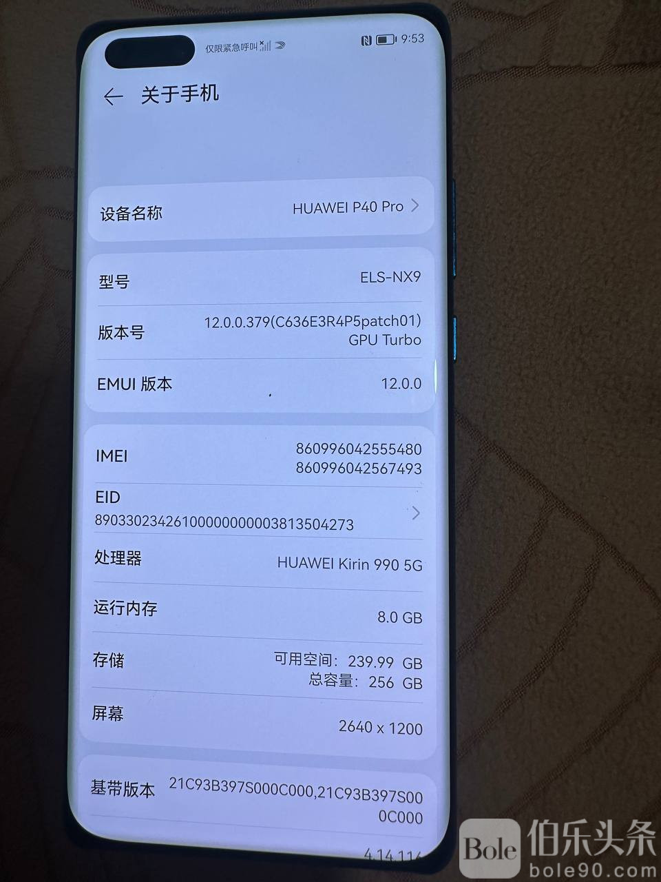 photo_2025-10-21 17.26.06.jpeg