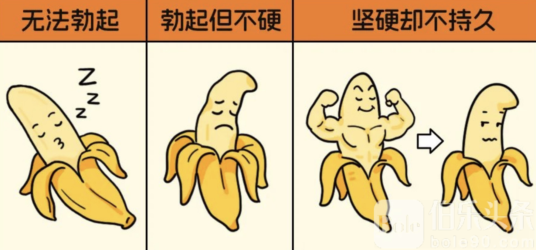 图像2025-10-27 12.29.jpeg