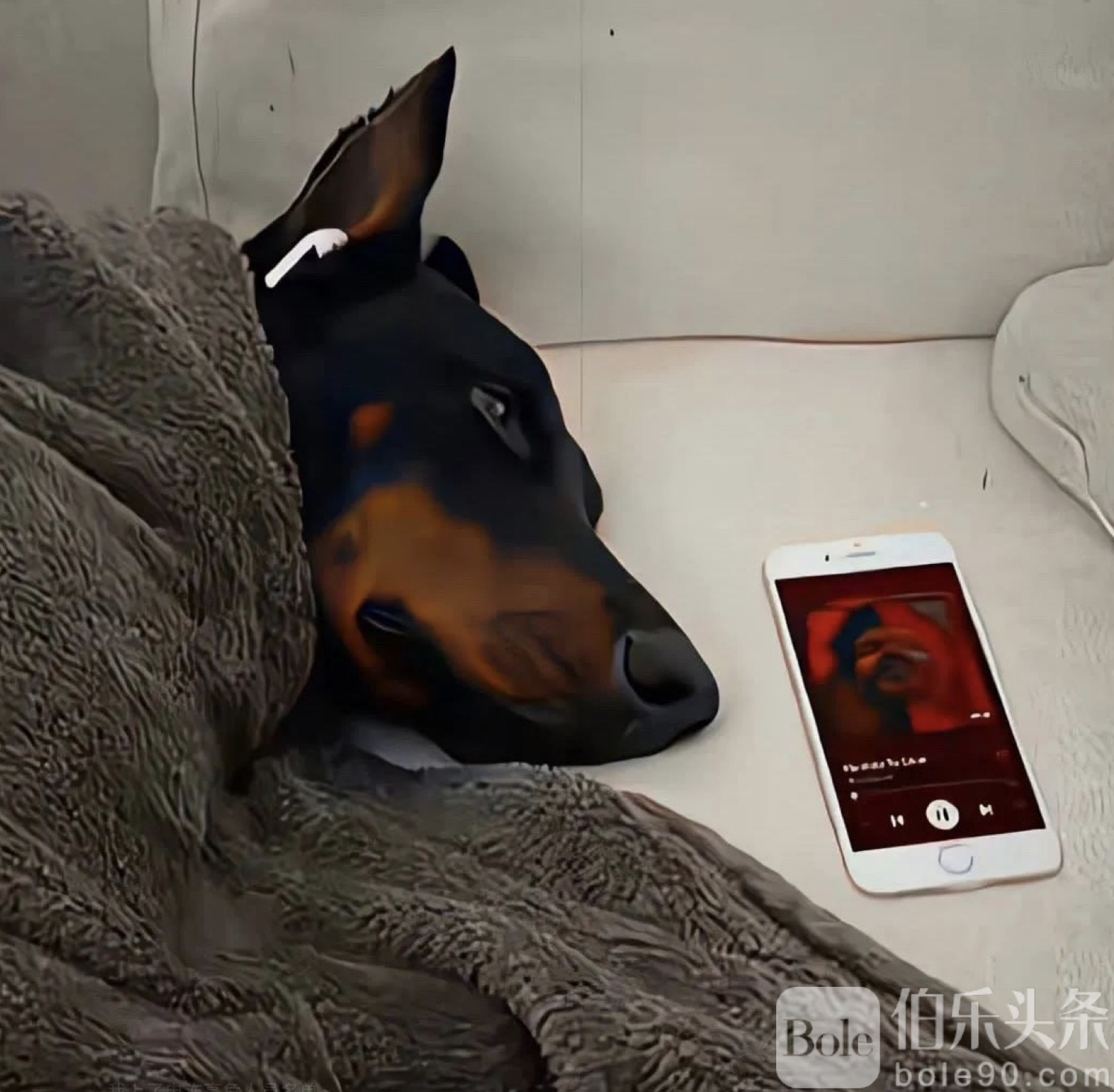 图像2025-10-28 12.19.jpeg