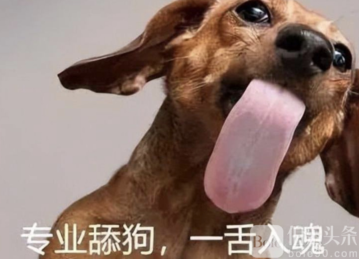 图像2025-10-29 12.24.jpeg