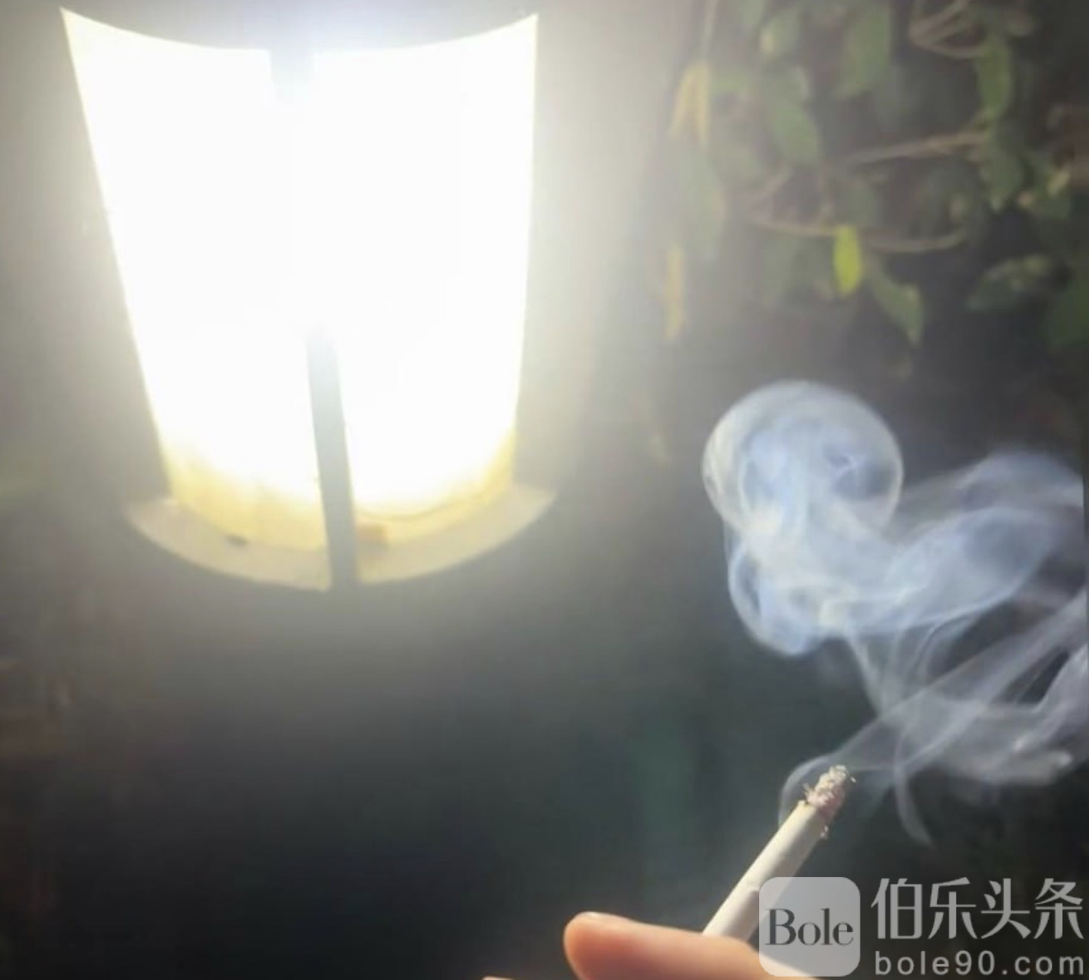 图像2025-10-29 12.27.jpeg