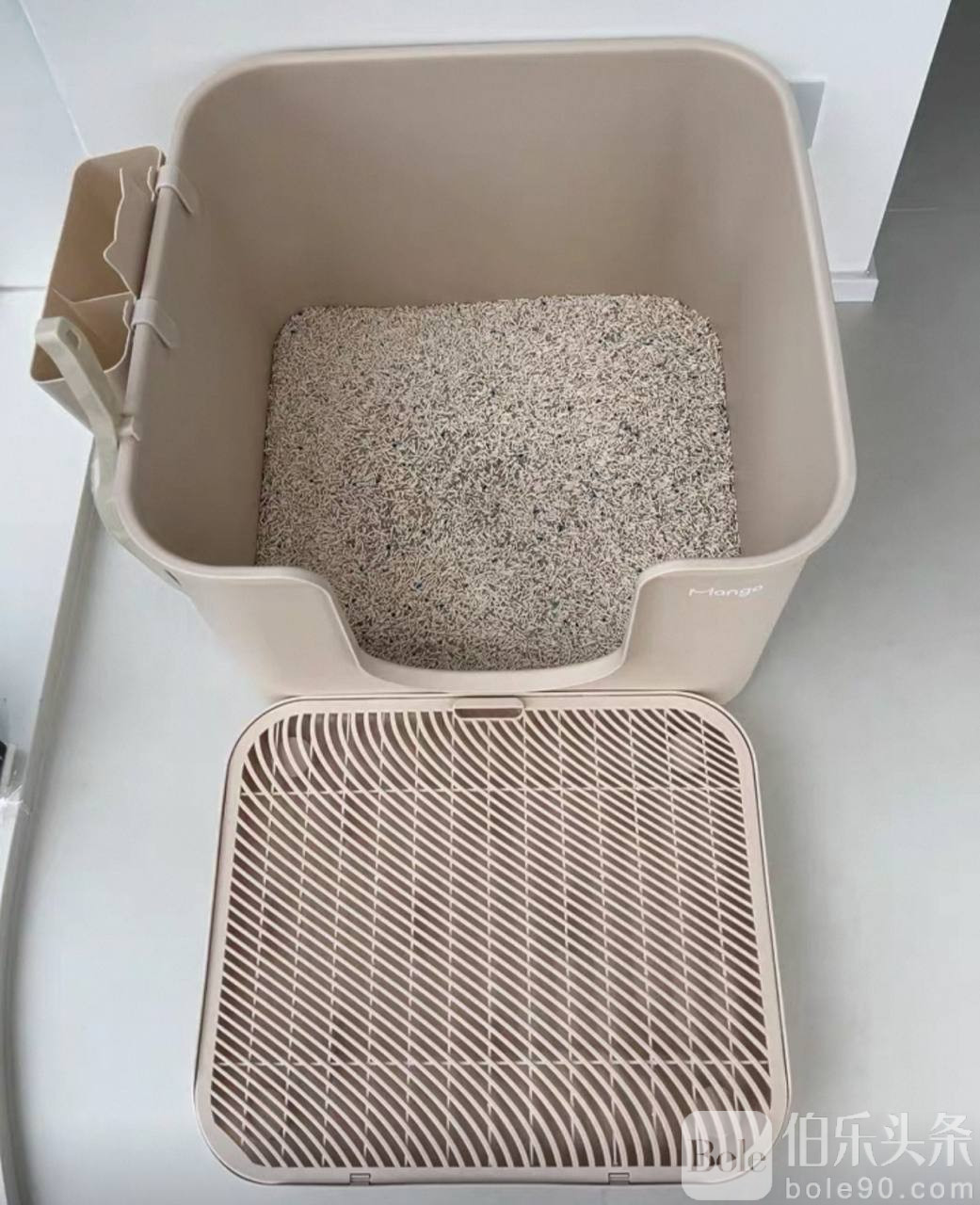 photo_2025-10-31 15.36.55.jpeg