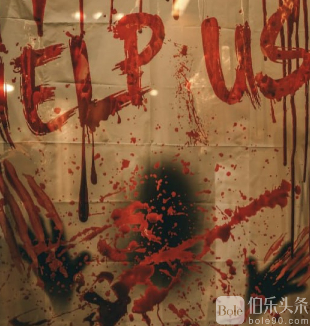 图像2025-11-8 12.37.jpeg