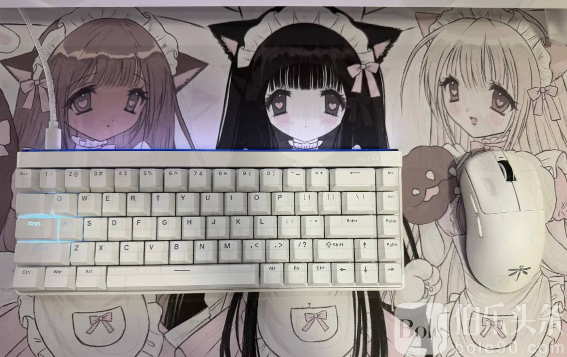 photo_2025-11-08 13.43.13.jpeg