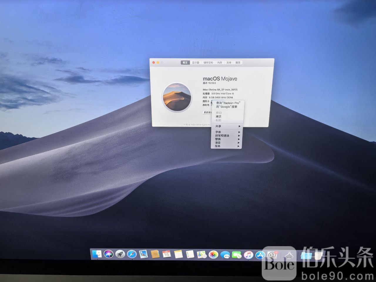 photo_2025-11-19 17.33.27.jpeg