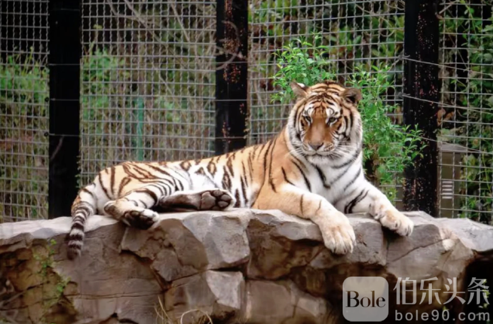 截屏2025-11-21 16.40.09.png