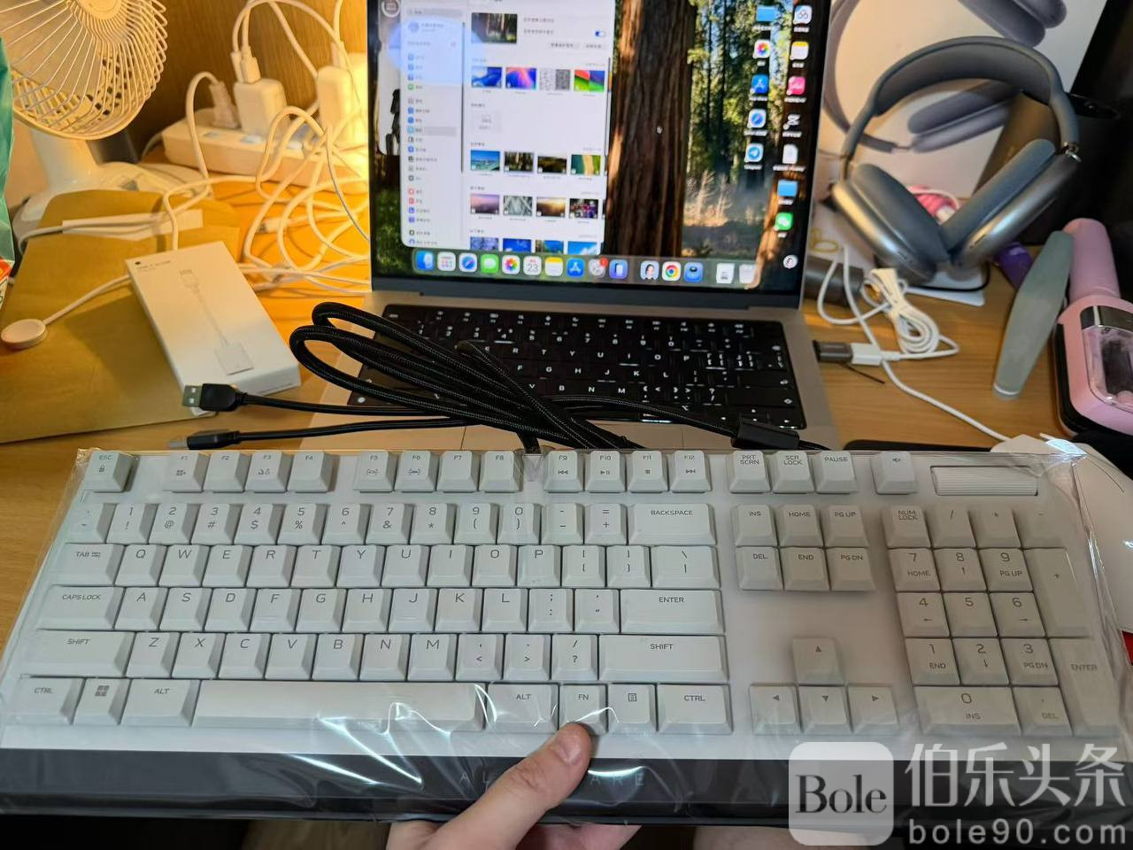 photo_2025-11-22 15.34.13.jpeg