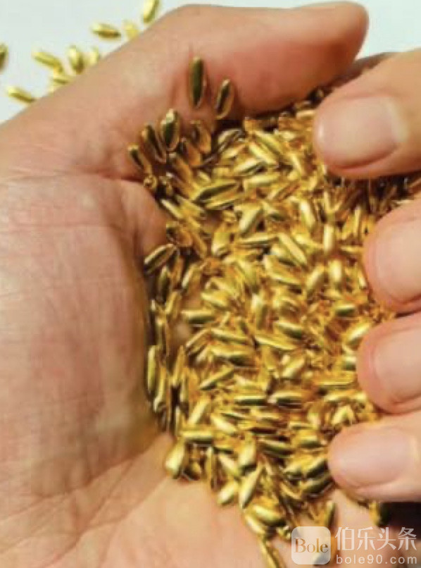 图像2025-11-24 12.22.jpeg