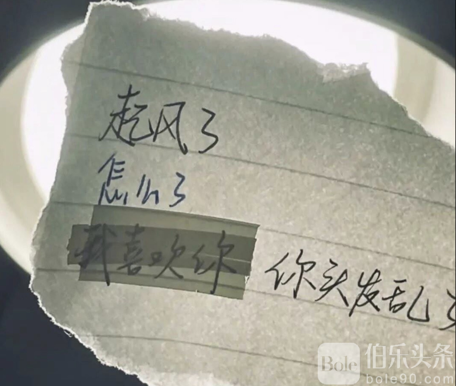 图像2025-11-26 12.36.jpeg