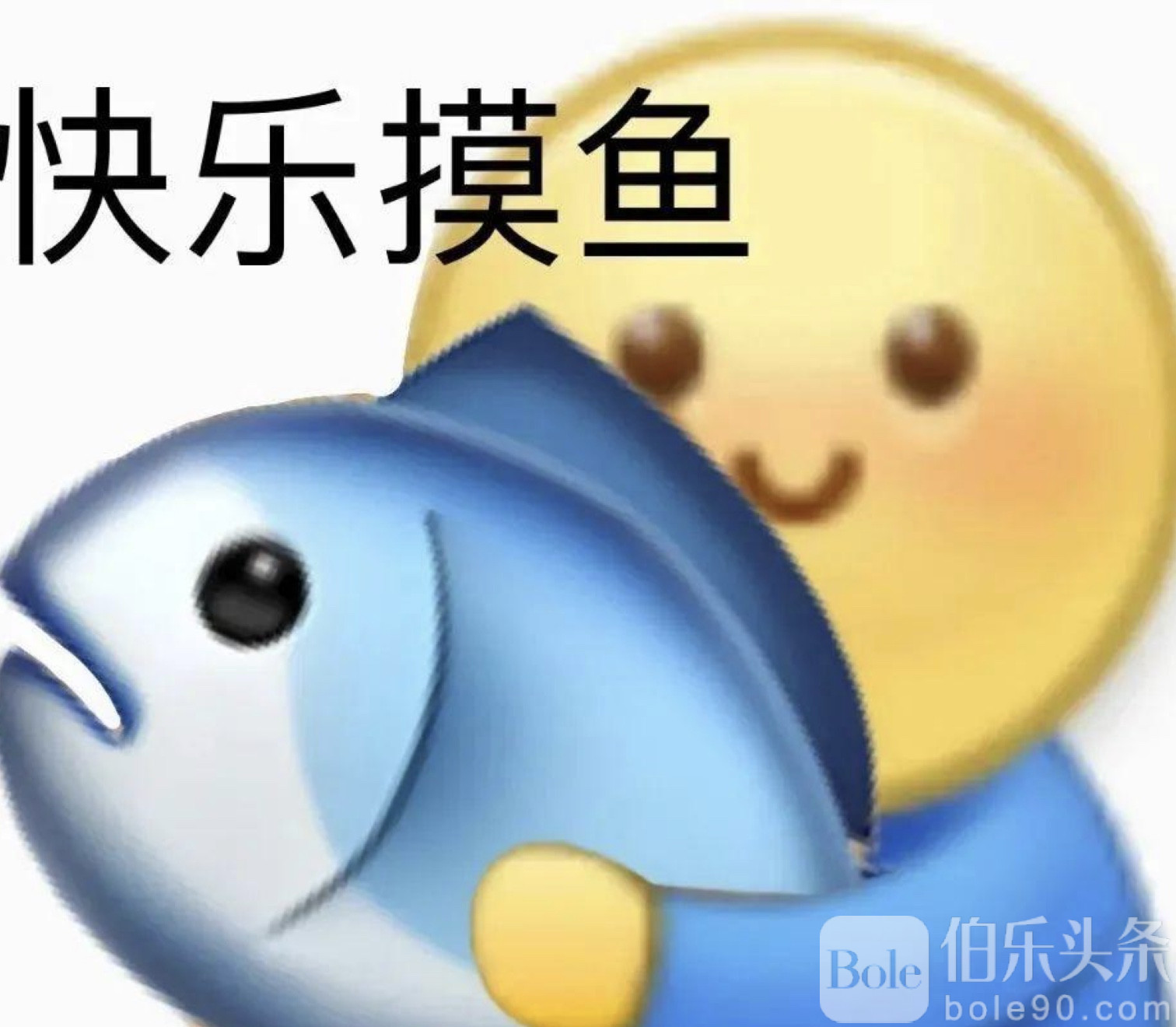 图像2025-12-1 10.53.jpeg