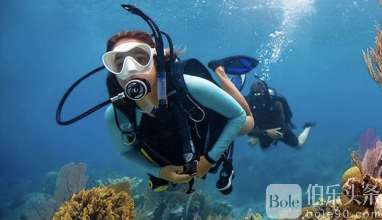 图像2025-12-1 12.32 (1).jpeg