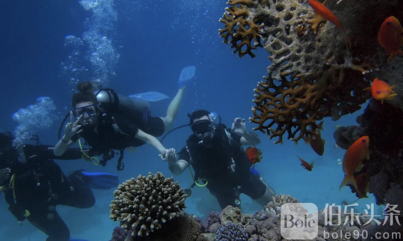 图像2025-12-1 12.34 (4).jpeg