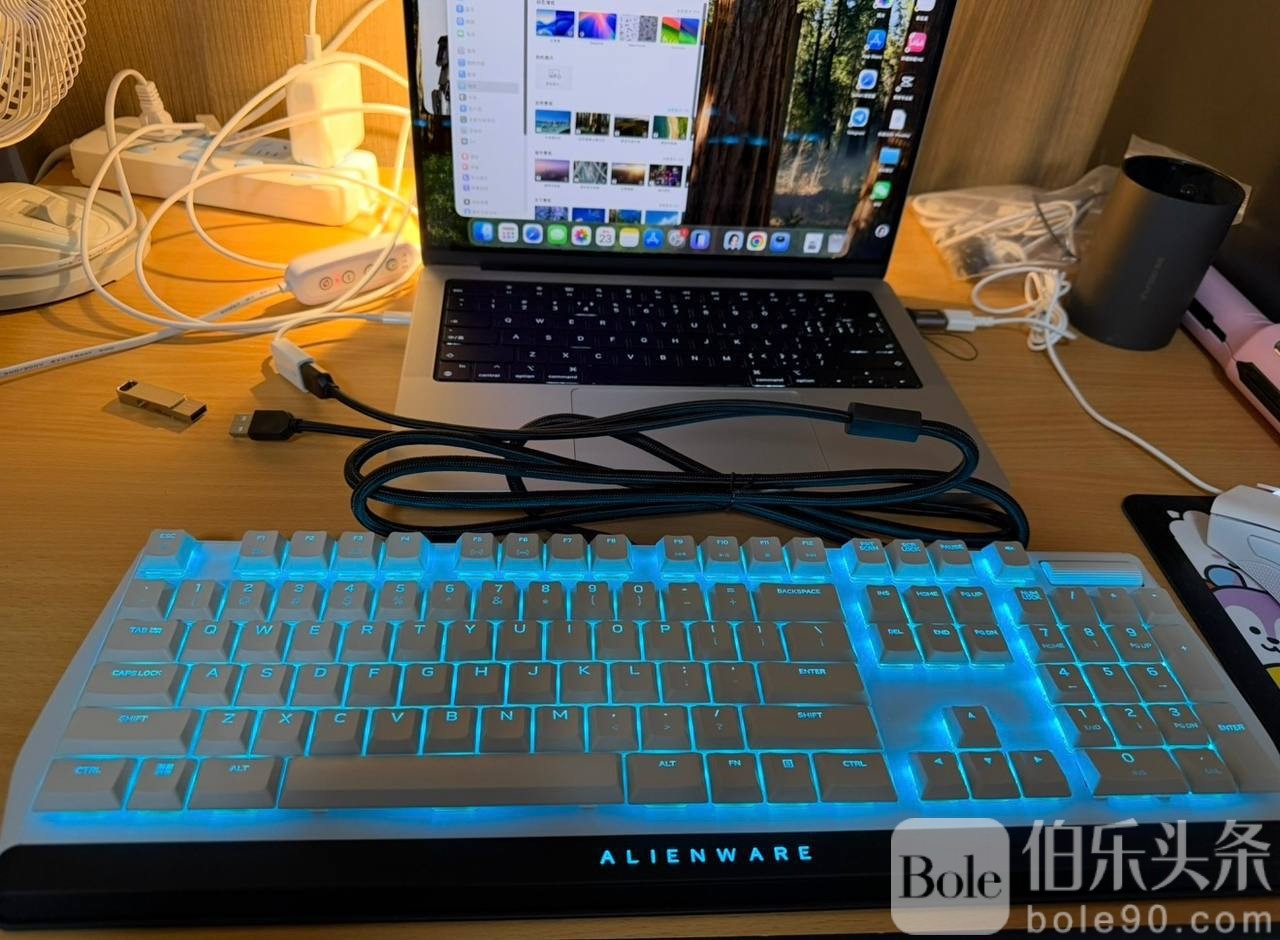 photo_2025-12-03 16.30.17.jpeg