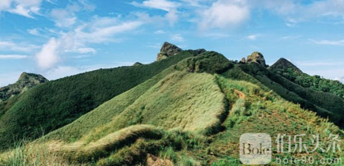 图像2025-12-8 12.41 (4).jpeg