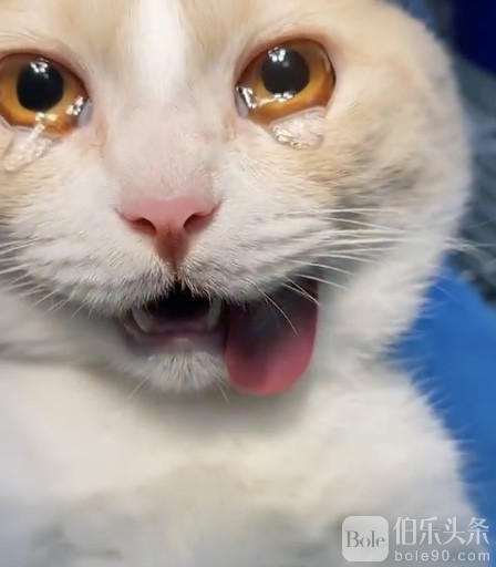 图像2025-12-15 12.34.jpeg