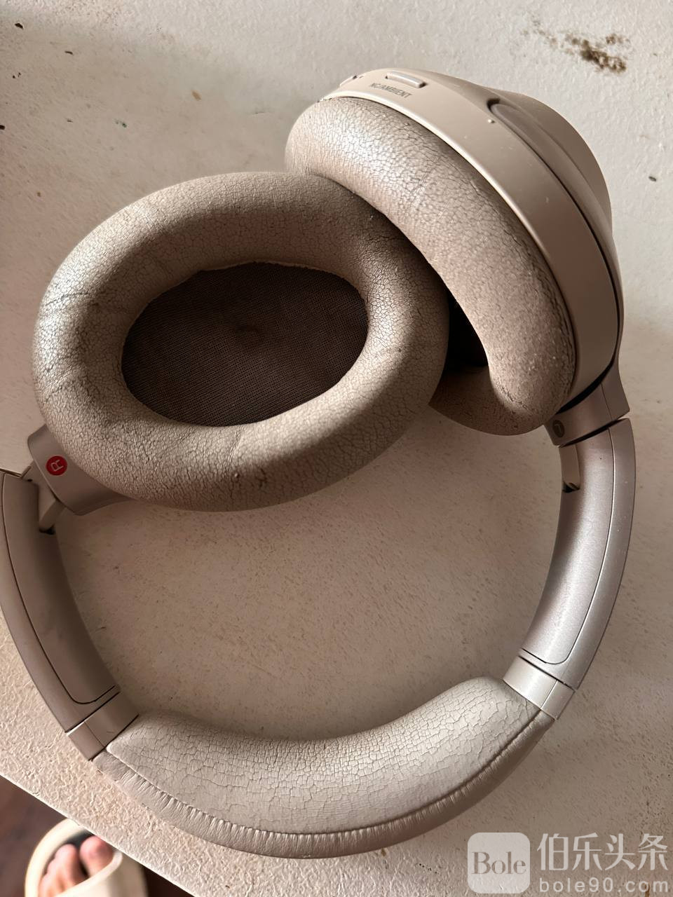 photo_2025-12-19 16.48.06.jpeg