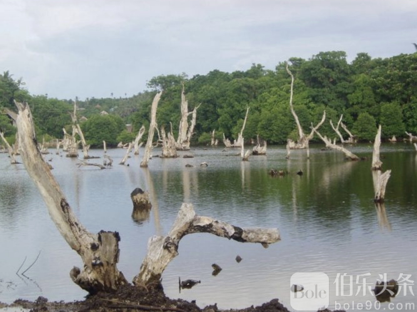 图像2025-12-22 12.26 (1).jpeg