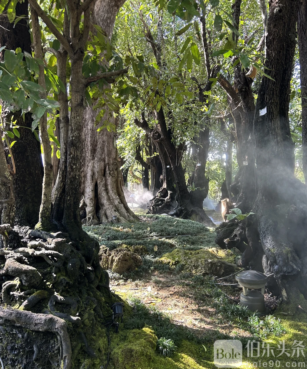 截屏2025-12-22 17.18.59.png