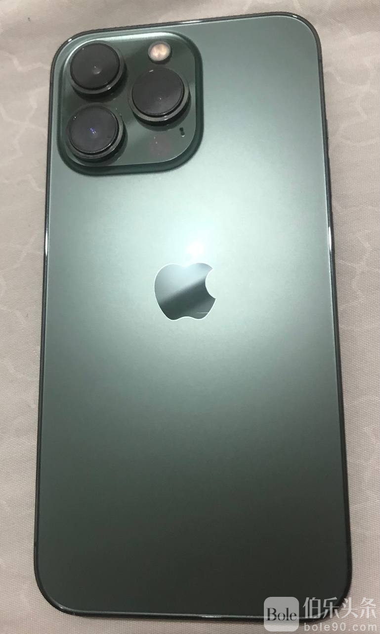 photo_2025-12-31 16.15.42.jpeg