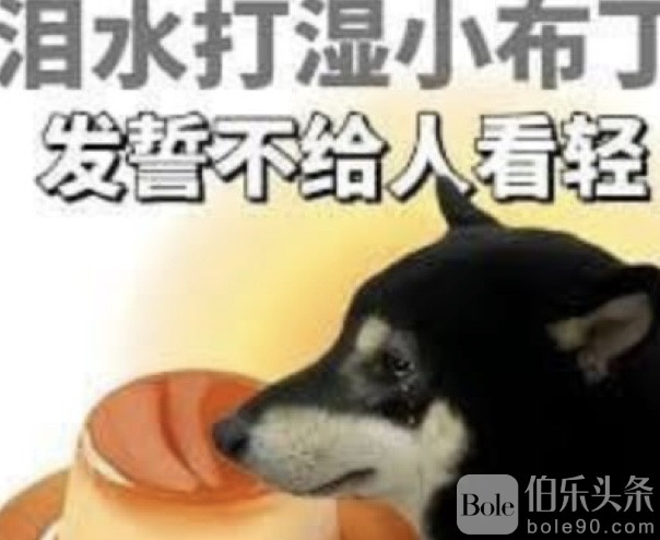 图像2026-1-2 12.41.jpeg