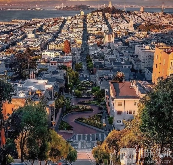 图像2026-1-10 12.37.jpeg