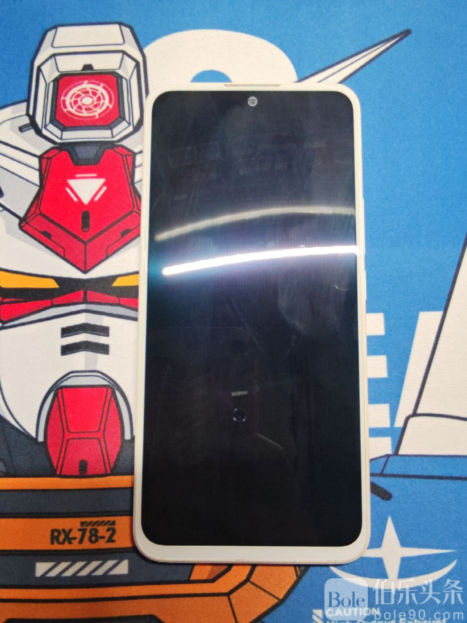 photo_2026-01-10 17.26.37.jpeg