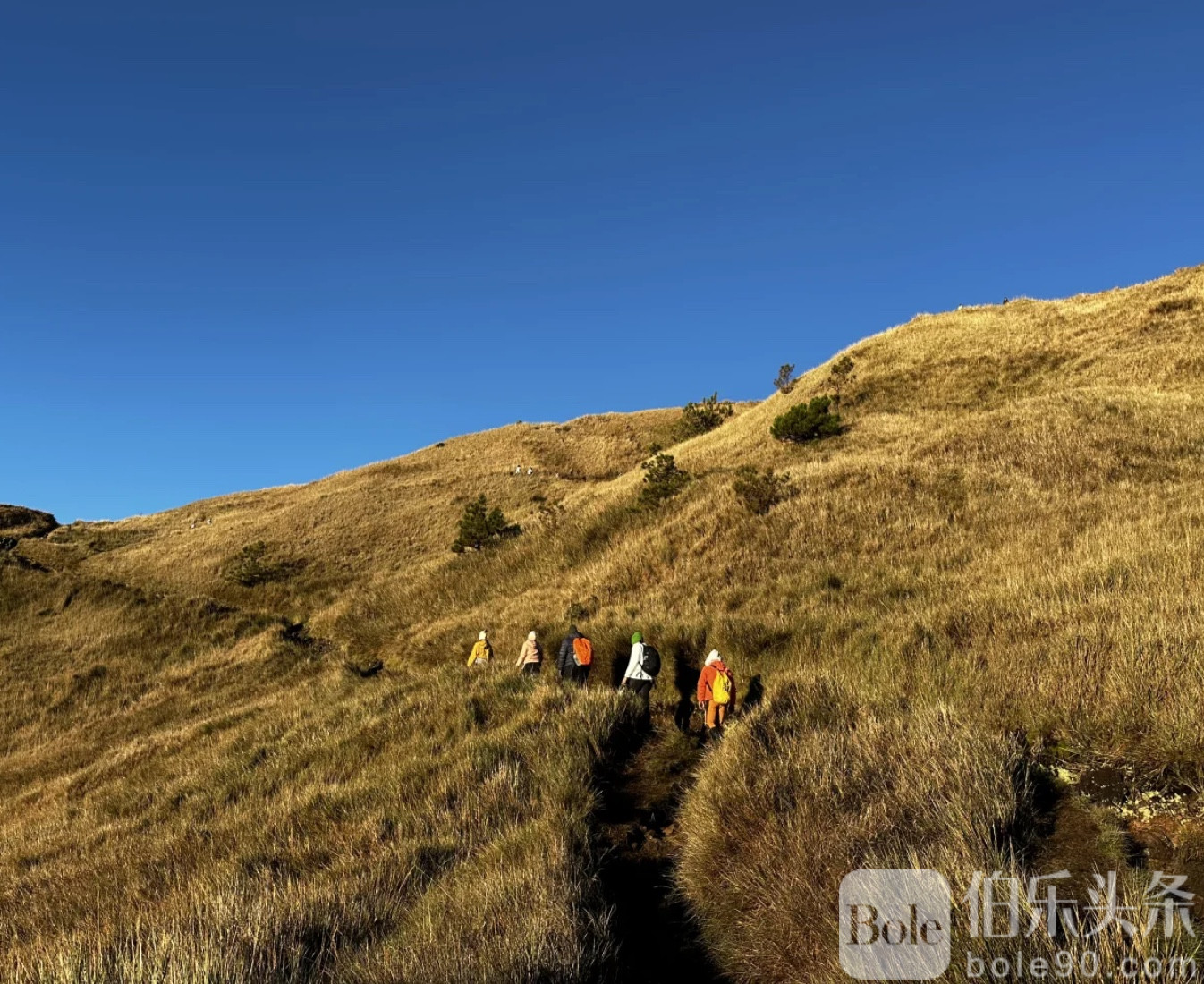 图像2026-1-12 11.33.jpeg