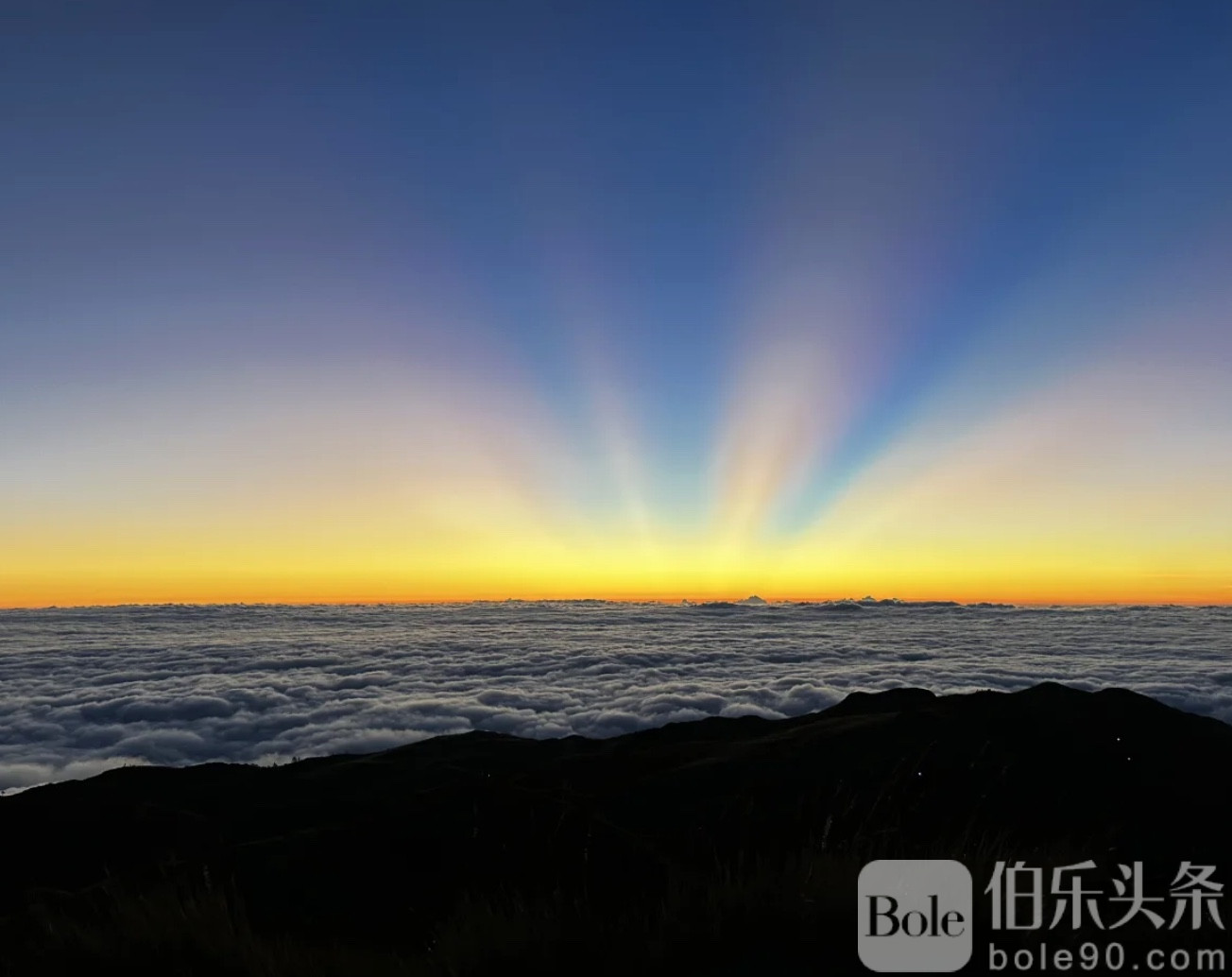 图像2026-1-12 11.33 (2).jpeg