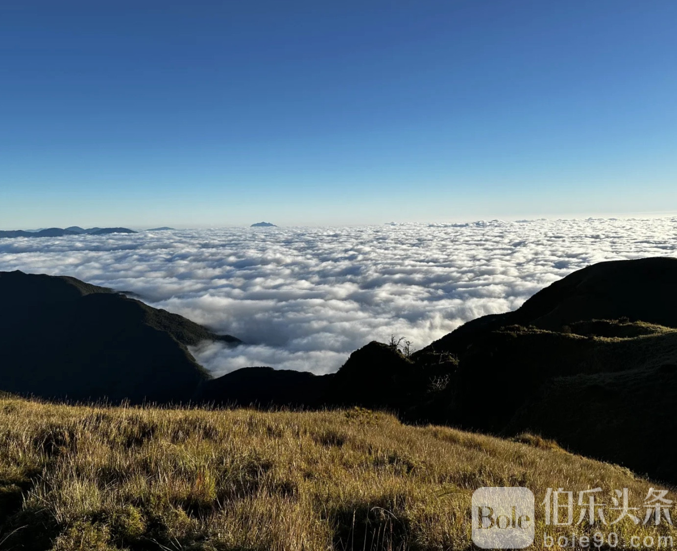 图像2026-1-12 11.33 (3).jpeg