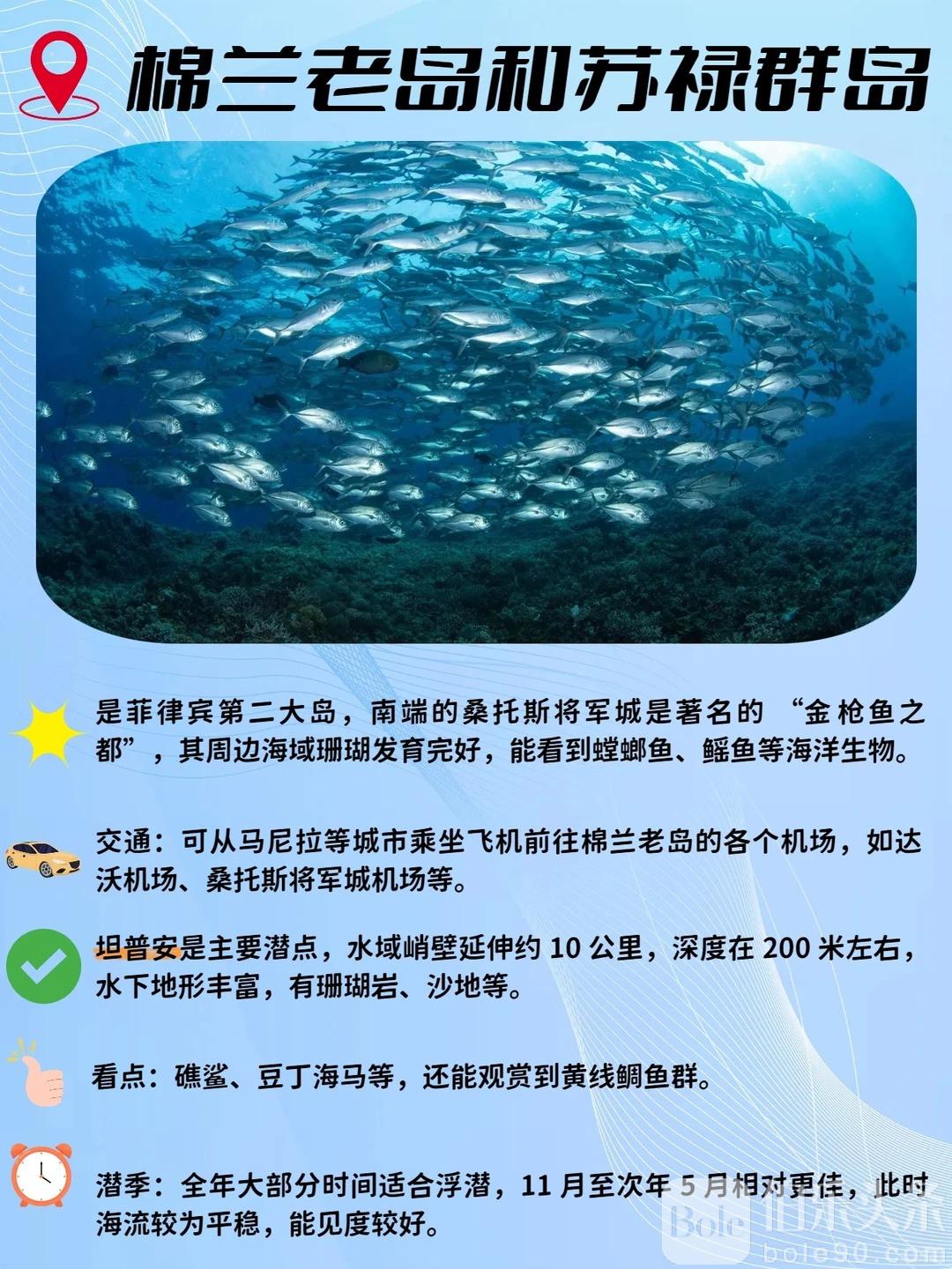 推荐五个超绝浮潜点！你都去过哪个？_5_蓝色巴拉望_来自小红书网页版.jpg